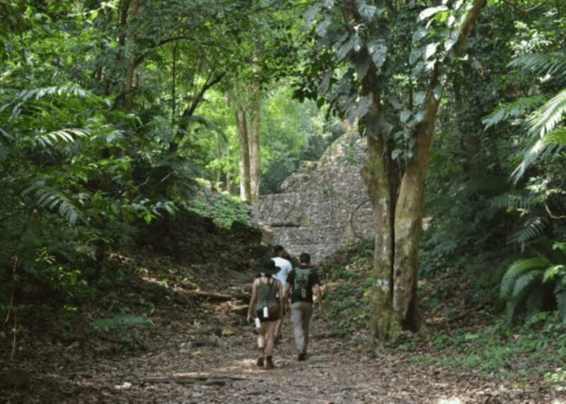 San Cristobal: 3 Days Expedition of North Lacandona Jungle - A Deep Dive into the Experience