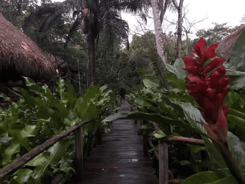 San Cristobal: Coffee Tour in the Mountains of Chiapas - Key Points