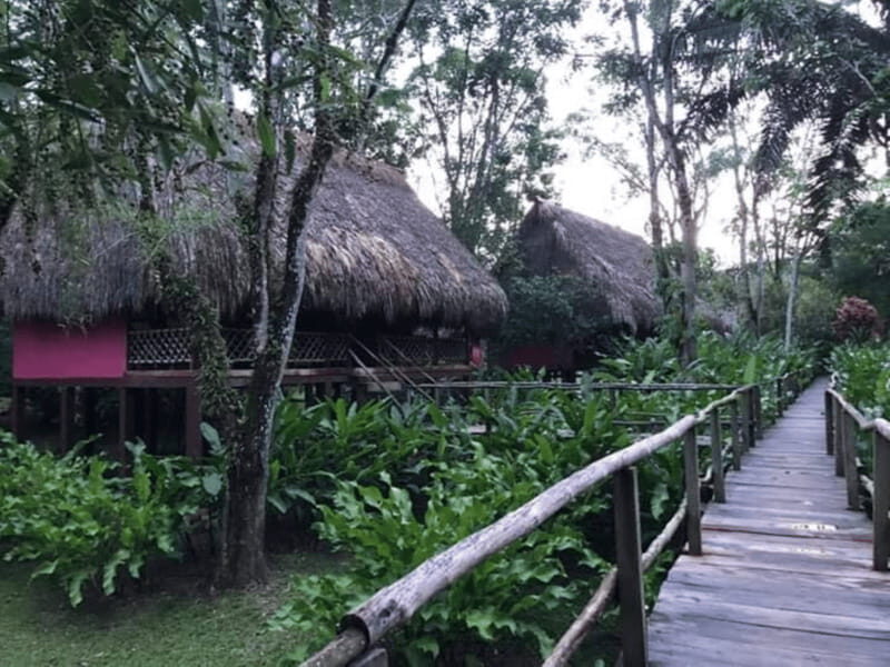 San Cristobal: Coffee Tour in the Mountains of Chiapas - An In-Depth Look at the Experience