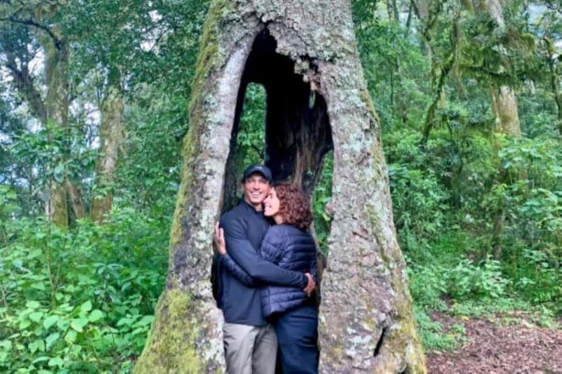 San Cristóbal de las Casas: Hiking on Huitepec Volcano - A Closer Look at the Hike