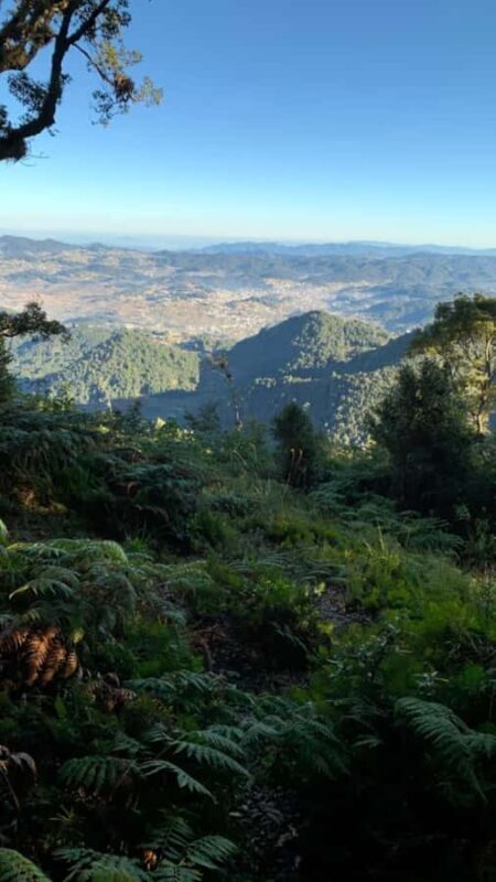 San Cristóbal de las Casas: Hiking to Indigenous Communities - The Sum Up: Who Is This Tour Best For?