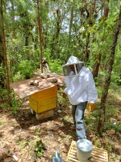 San Cristobal: Huixtan Adventure with Traditional Activities - Who Should Consider This Tour?