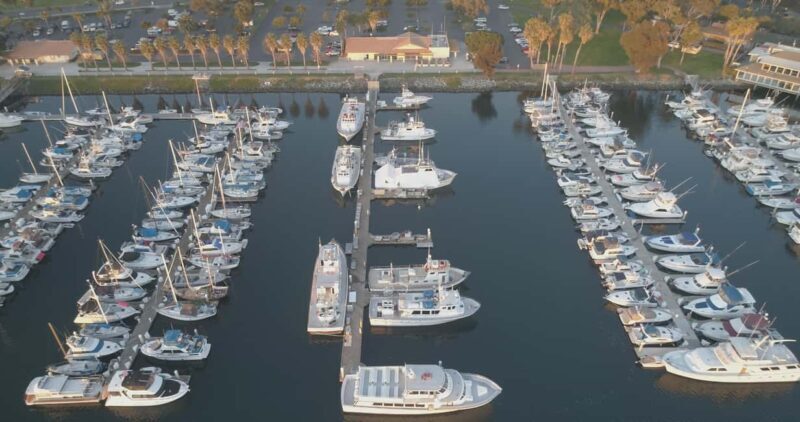 San Diego: 3 Hour Whale Watching Cruise - The Itinerary in Detail