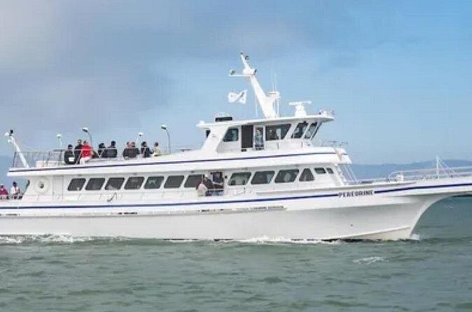 San Diego 4th of July Fireworks Cruise - Detailed Breakdown: What You Can Expect