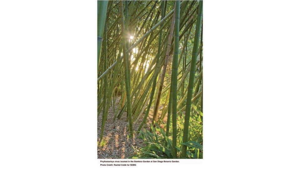 San Diego Botanical Garden Entry Ticket and Transportation - Booking Process and Inclusions