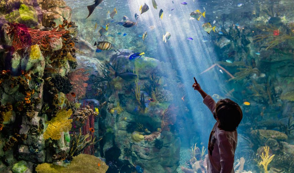 San Diego: CityPASS® Save up to 43% at Must-See Attractions - Visitor Recommendations