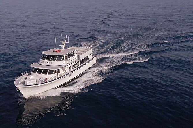 San Diego Dolphin Watch Sunset Cruise Mission Bay on the Legacy - An In-Depth Look at the Sunset Dolphin & Whale Watch Tour