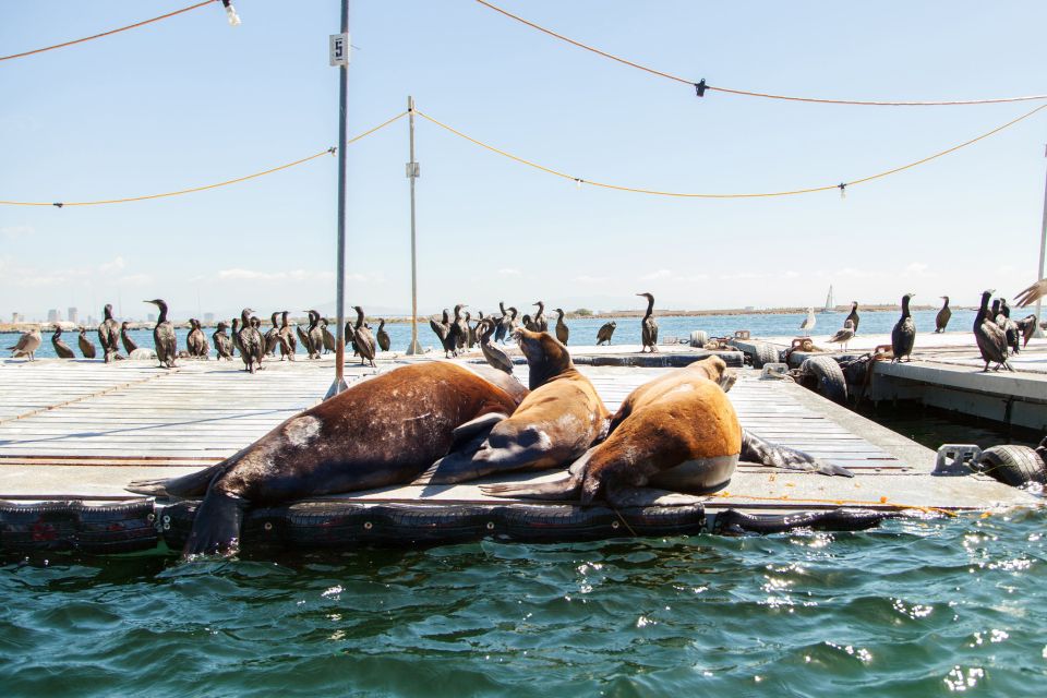San Diego: Drive Your Own Speed Boat 2-Hour Tour - Frequently Asked Questions