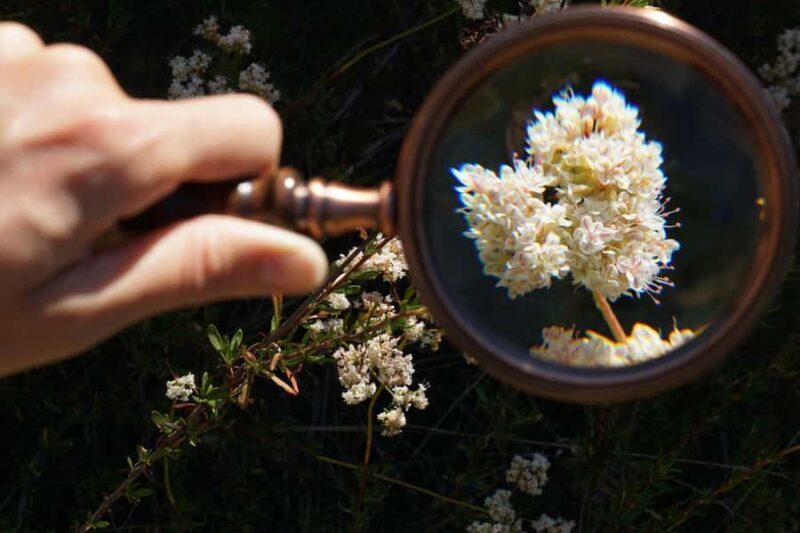 San Diego: Guided Natural History Walk - Key Points