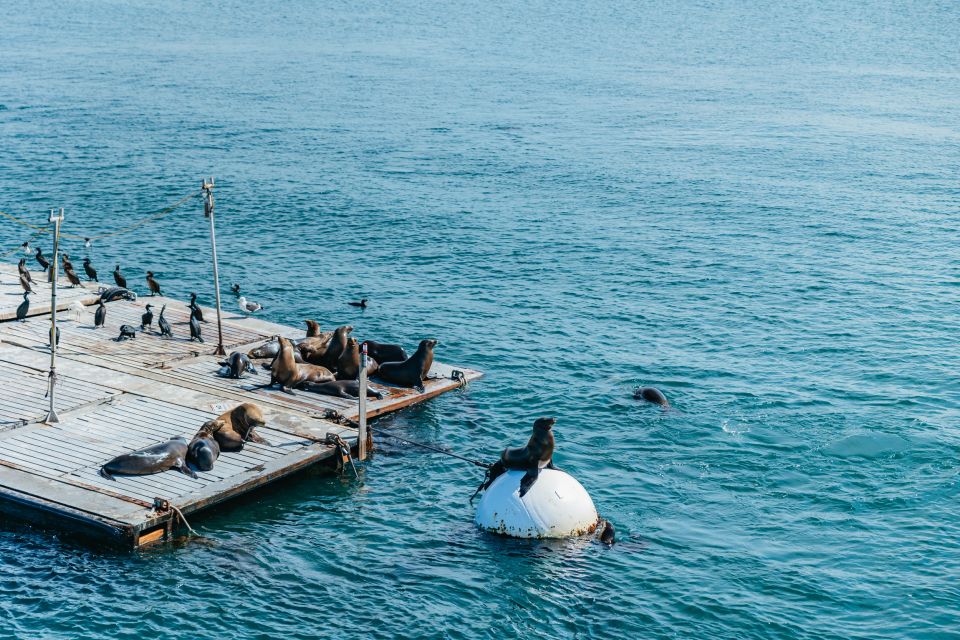 San Diego: Harbor Cruise - Booking and Reservations