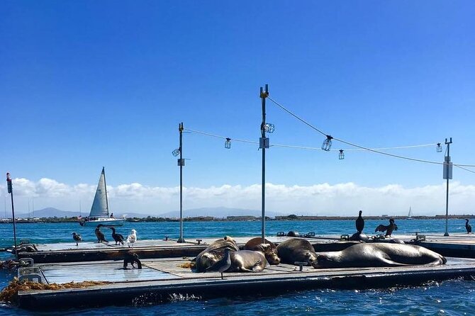 San Diego Harbor Speed Boat Adventure - Cancellation Policy