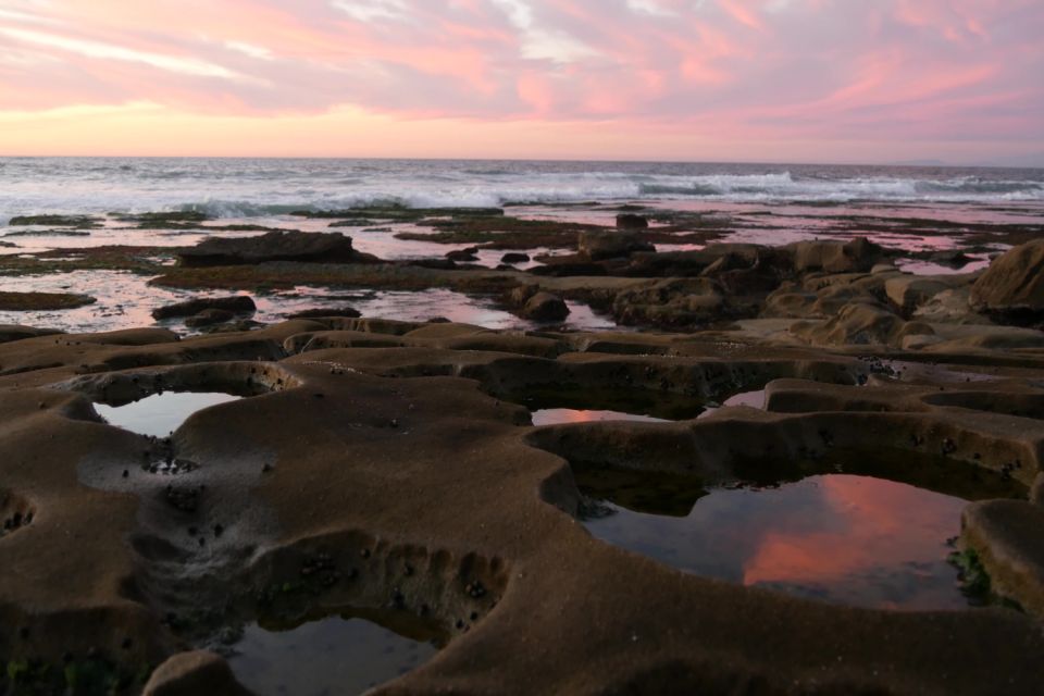 San Diego: La Jolla Self-Driving Audio Tour - Exploring La Jolla Cove