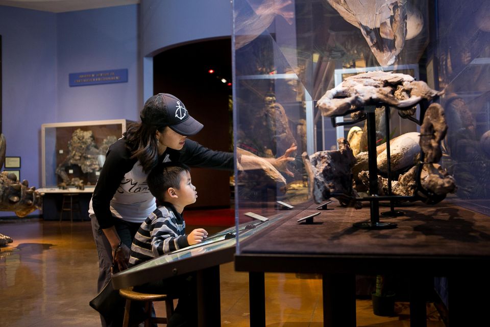 San Diego: Nighttime at the San Diego Natural History Museum - Rotating Films and Night Shows