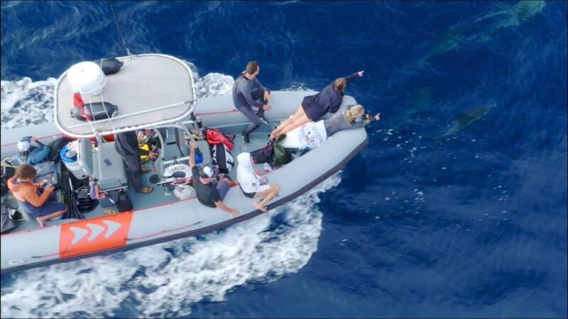 San Diego Ocean Safari: 6-Hour Snorkel Adventure! - Is This Tour Right for You?