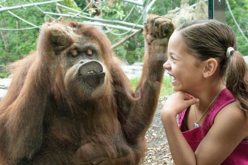 San Diego Pass Plus: 50+ Attractions - Includes LEGOLAND® - Value for Money