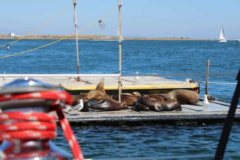 San Diego: Private Morning Sail up to 12 guests - A detailed look at the San Diego: Private Morning Sail