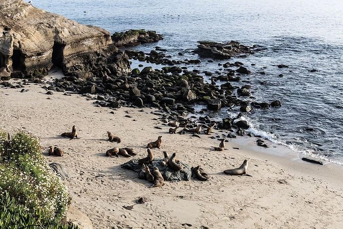 San Diego Scenic Tour - Additional Information