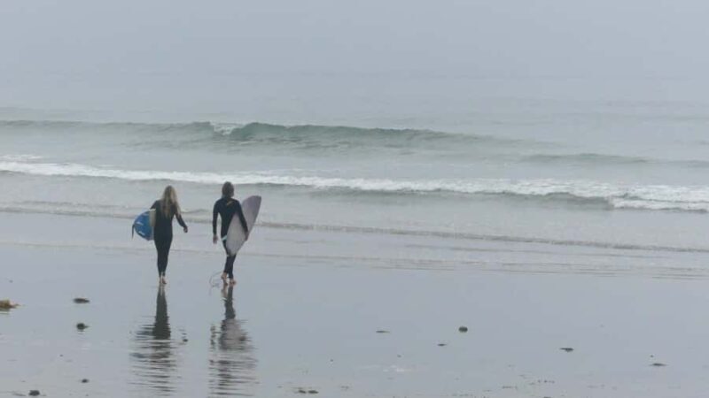 San Diego: Surf Coaching Experience With a Local Pro Surfer - The Sum Up  