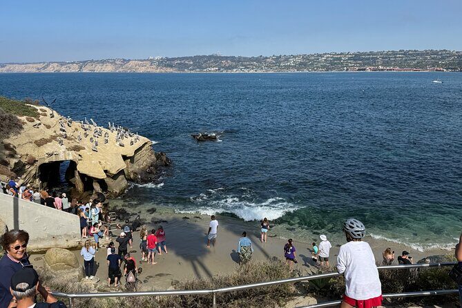 San Diego Tide Pool Tour - Final Thoughts