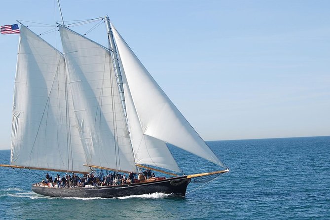 San Diego Whale Watching Cruise - Additional Information