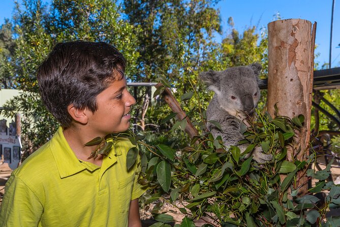 San Diego Zoo 1-Day Pass: Any Day Ticket - Visitor Reviews