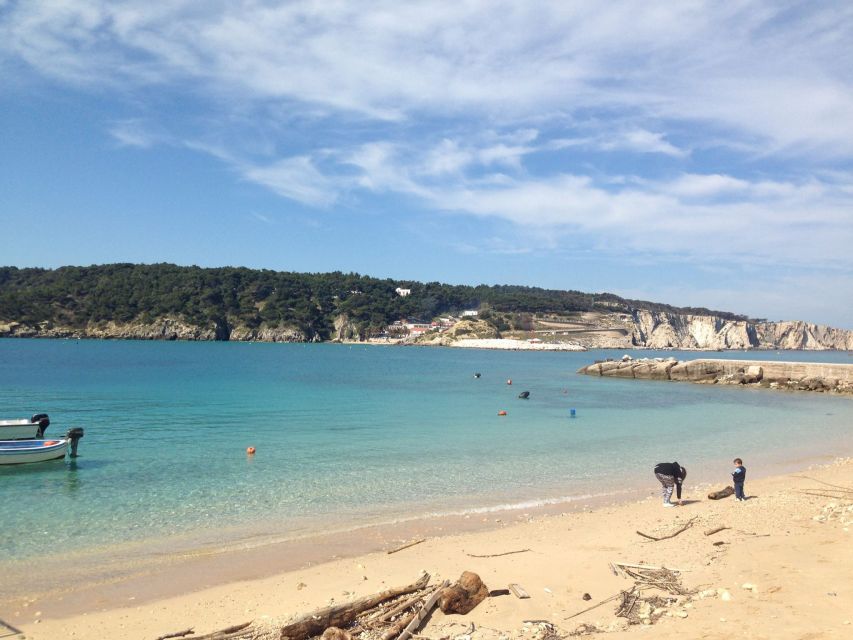 San Domino, Tremiti: Guided Dives Around Tremiti Islands - Key Points