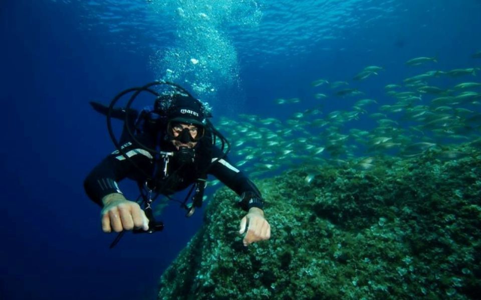 San Domino, Tremiti: Guided Dives Around Tremiti Islands - Contact for Inquiries