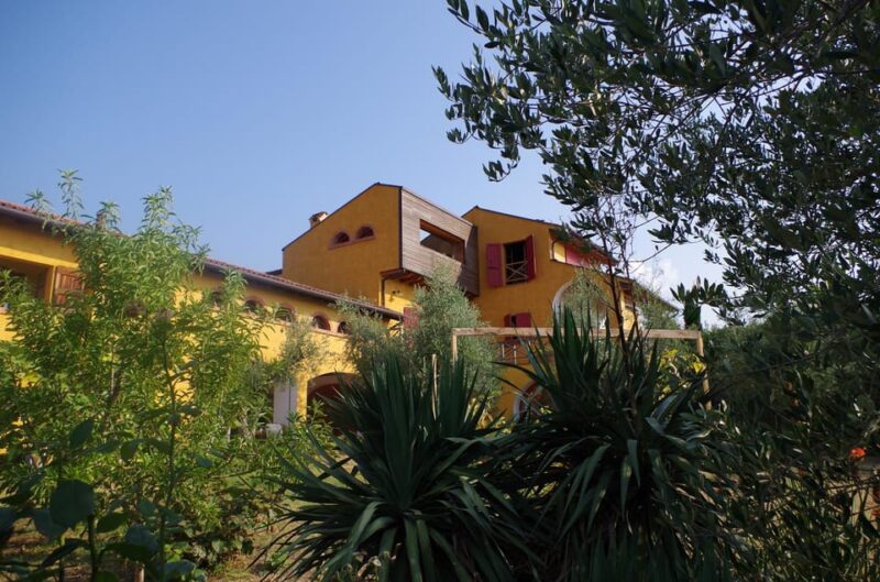 San Felice: Olive Oil Tasting With Local Food on Garda Hills - Key Points