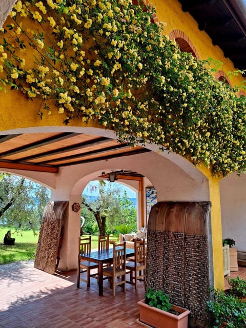 San Felice: Olive Oil Tasting With Local Food on Garda Hills - Tasting Details