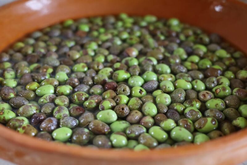 San Felice: Olive Oil Tasting With Local Food on Garda Hills - Pet-Friendly Policies