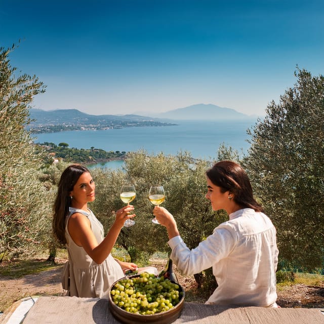 San Felice: Olive Oil Tasting With Local Food on Garda Hills - About the Estate