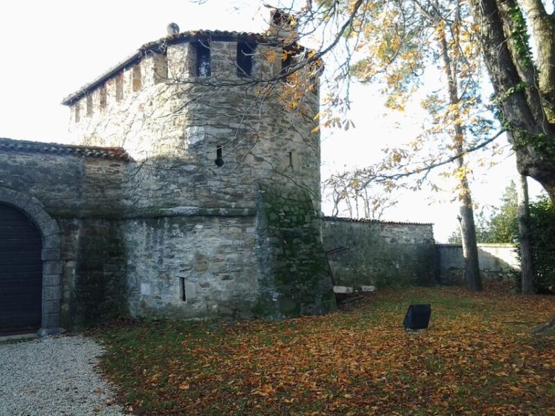 San Floriano del Collio: Wine, Food, and Castle Tour - Authenticity, Value, and Who Will Love This Tour