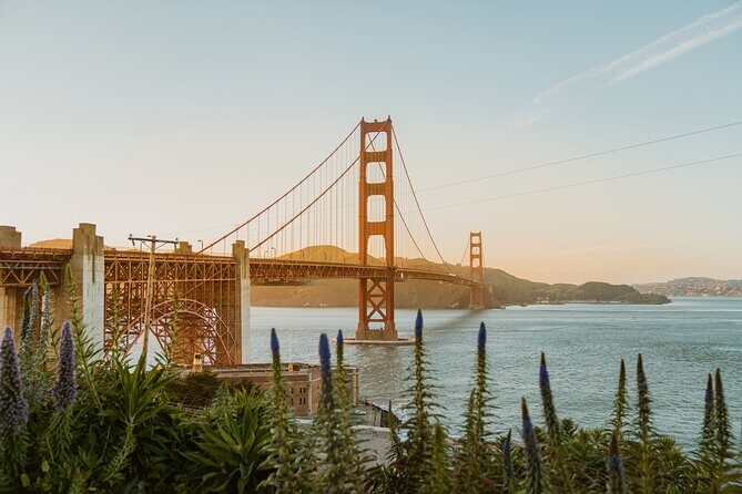 San Francisco Airport Transfer to SFO City (Special Offer) - An In-Depth Look at This San Francisco Airport Transfer