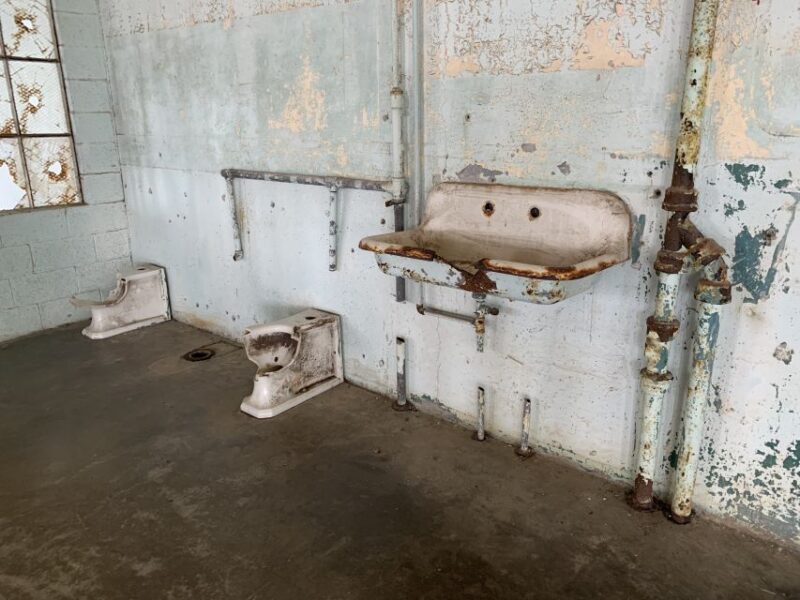 San Francisco: Alcatraz Tour with Muir Woods and Sausalito - Authentic Experiences and Tips