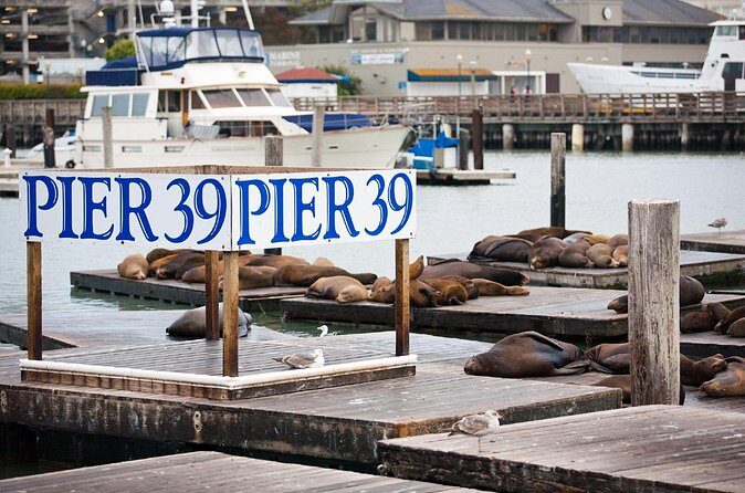 San Francisco Audio Guided Walking Tour 3h15 and 22 reviews - Final Thoughts