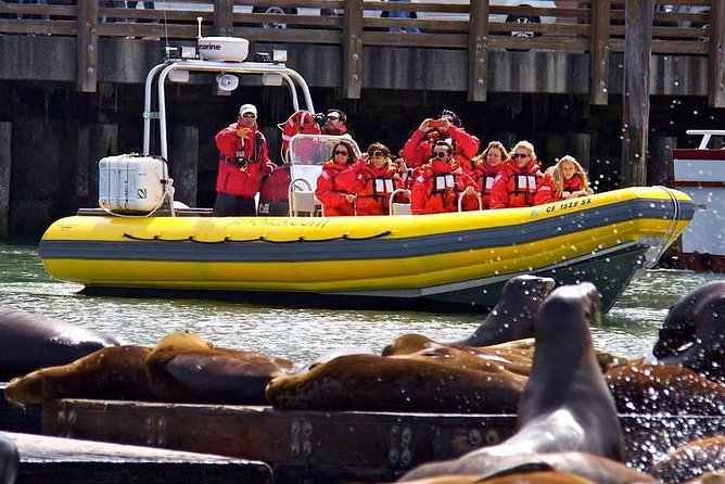 San Francisco Bay Adventure Sightseeing Cruise - Customer Reviews and Feedback