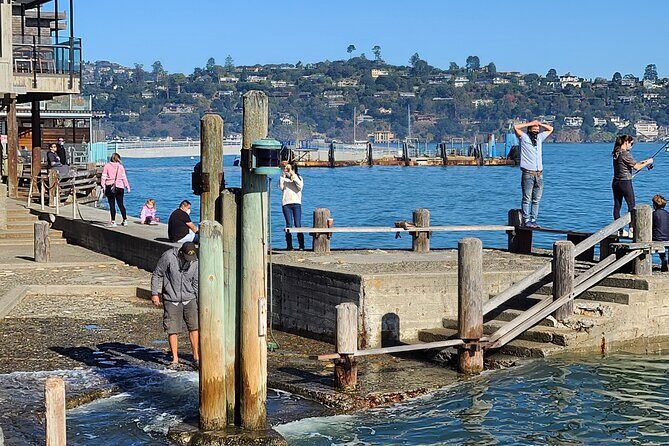 San Francisco Bay Cruise, Muir Woods and Sausalito Combo Tour - Final Thoughts