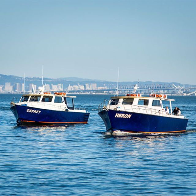 San Francisco Bay: Private Charter Heron & Osprey - Experience Highlights