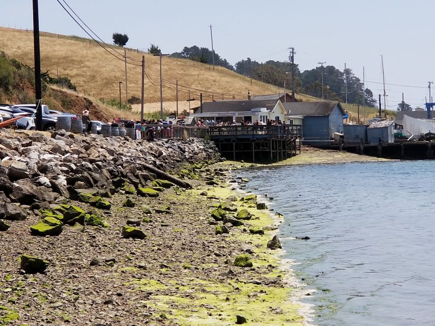 San Francisco: Cheese, Honey, Oysters & Wine Tour of Sonoma - Included