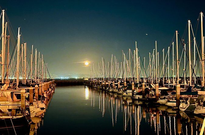 San Francisco City Tour in a Mercedes Sprinter Van - Who Will Love This Tour?