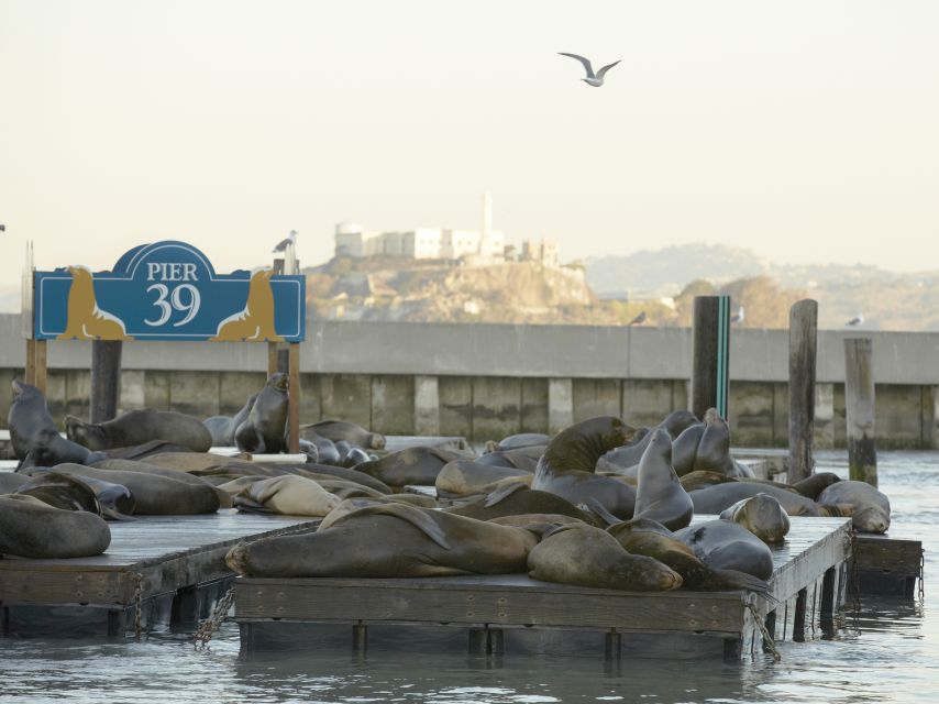 San Francisco CityPASS®: Save 46% at 4 Top Attractions - Benefits of Using CityPASS