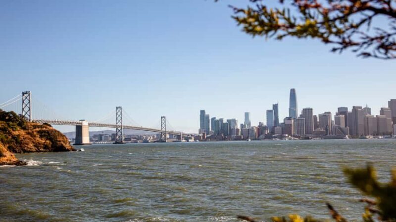 San Francisco: Distillery Gin Cocktail Making Class - Reviews and Authentic Feedback