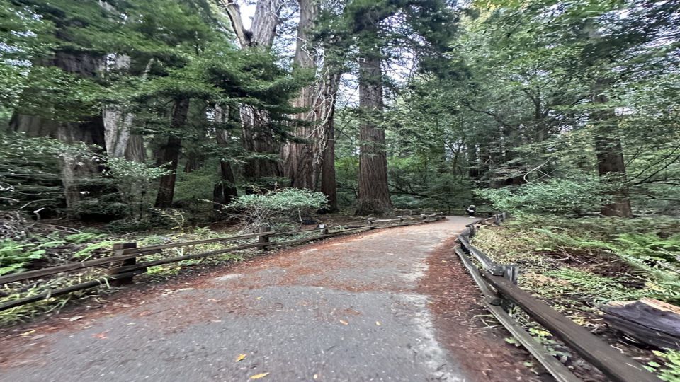 San Francisco: Full-Day City Tour W/ Muir Woods & Sausalito - Golden Gate Bridge Vista Point
