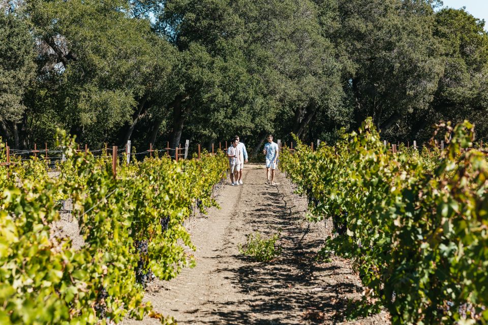 San Francisco: Half-Day Wine Country Excursion With Tastings - Duration and Inclusion Details