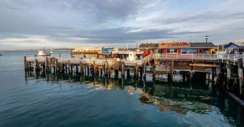 San Francisco: Monterey and Carmel Day Tour - Authentic Insights from Travelers
