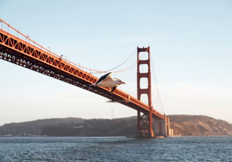 San Francisco: Mothers Day Brunch or Dinner Bay Cruise - Key Points