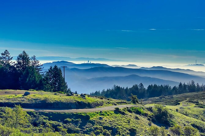 San Francisco Muir Woods, Point Reyes and Meadery Tour - Whats Included in the Experience