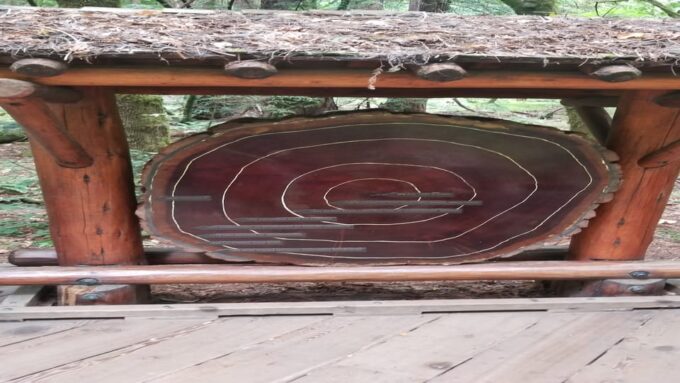 San Francisco: Muir Woods, Sausalito, and Sonoma Wine Tour - Important Tour Information