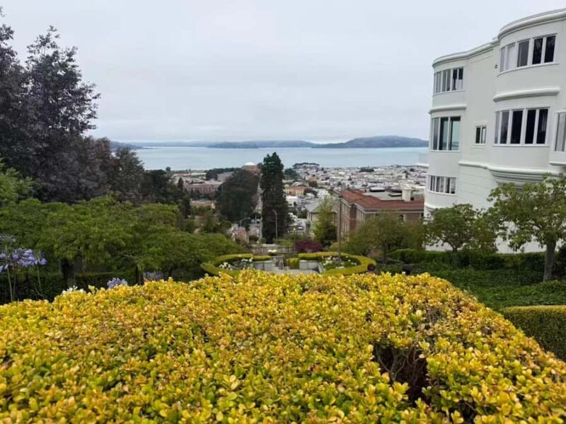 San Francisco: Muir Woods, Sausalito, & Battery Spencer Tour - The Sum Up