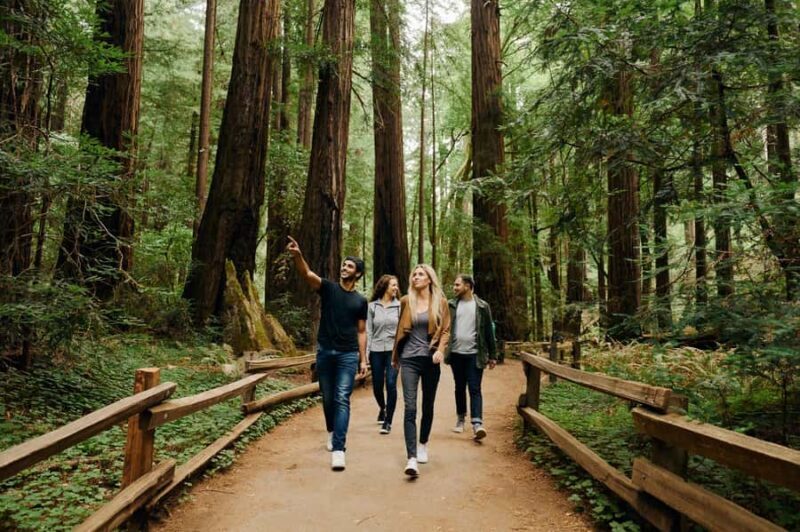 San Francisco: Muir Woods & Sausalito Tour w/Alcatraz - Authentic Experiences and Highlights